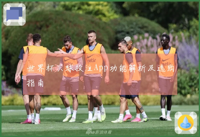 世界杯买球投注App功能解析及选购指南