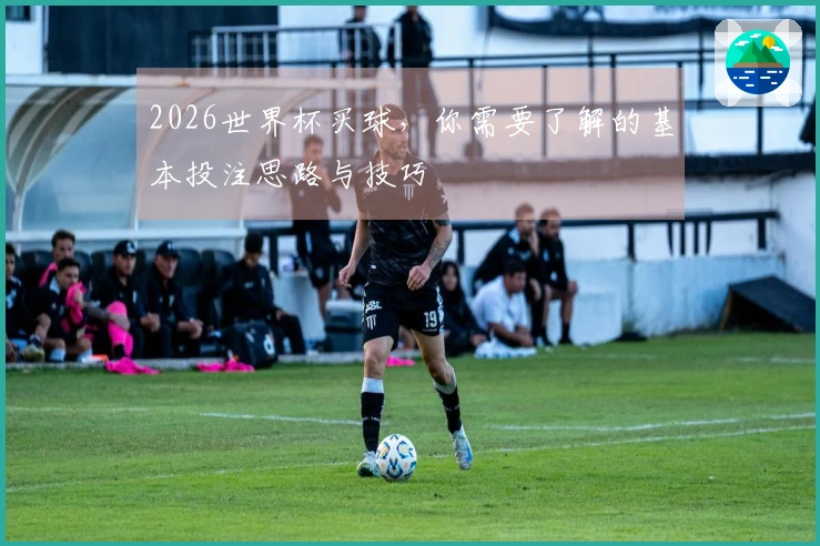 2026世界杯买球，你需要了解的基本投注思路与技巧