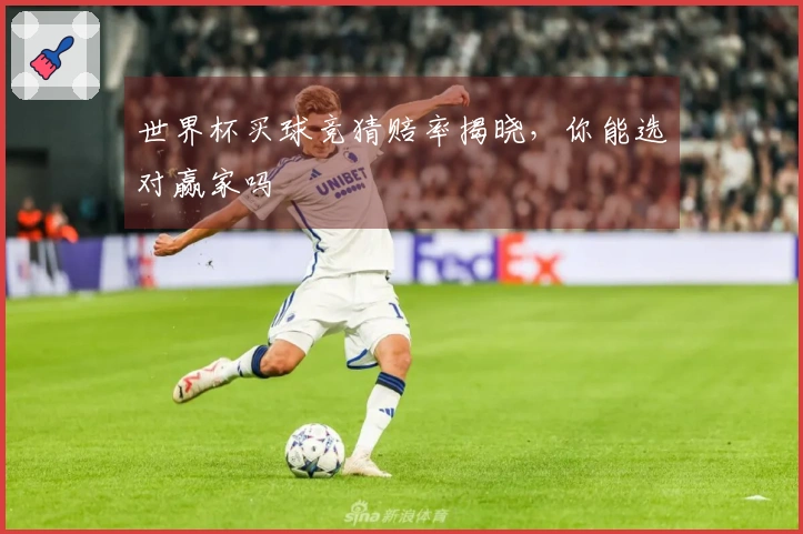 世界杯买球竞猜赔率揭晓，你能选对赢家吗