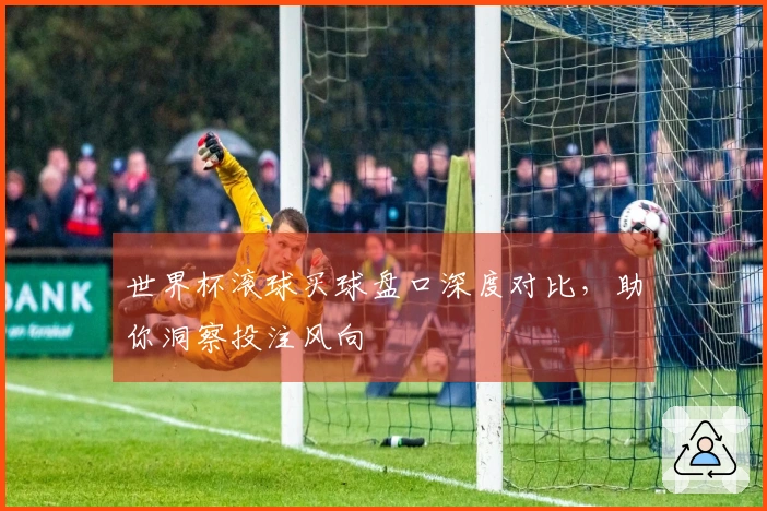 世界杯滚球买球盘口深度对比，助你洞察投注风向