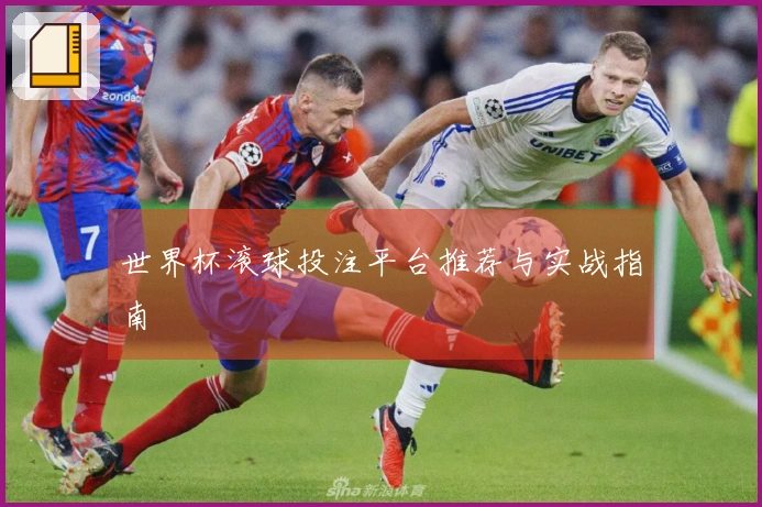 世界杯滚球投注平台推荐与实战指南