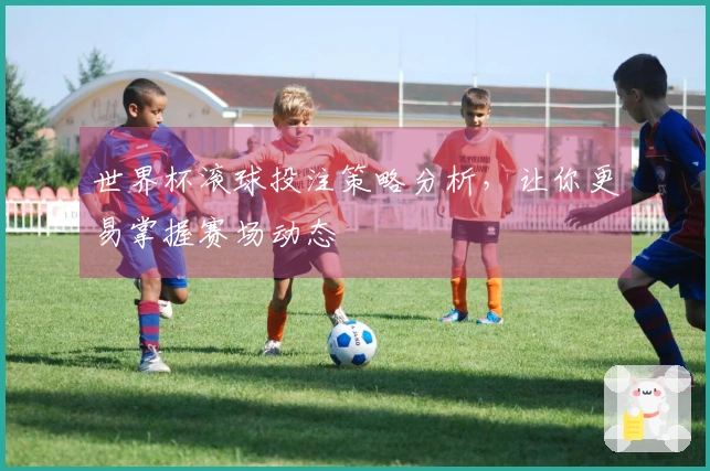 世界杯滚球投注策略分析，让你更易掌握赛场动态