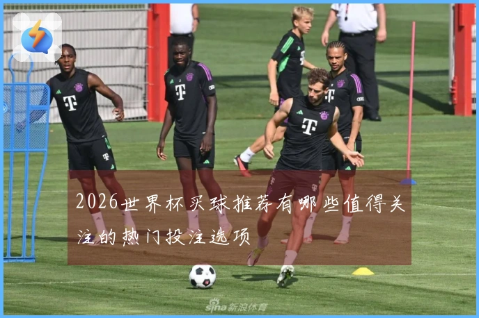 2026世界杯买球推荐有哪些值得关注的热门投注选项