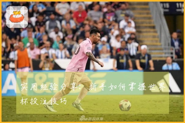 实用经验分享：新手如何掌握世界杯投注技巧