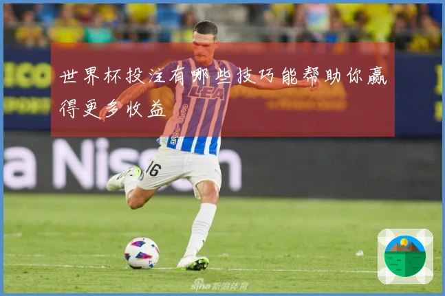 世界杯投注有哪些技巧能帮助你赢得更多收益